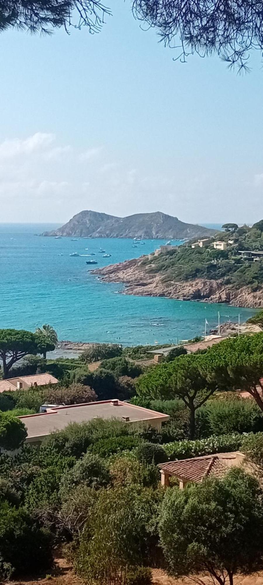 Appartement T2 A La Croix Valmer Piscine Et Tennis 外观 照片
